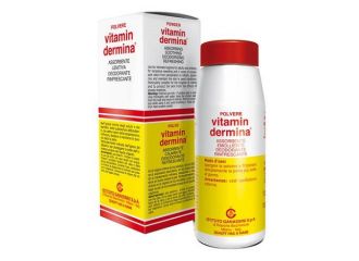 Vitamindermina polvere 100 g