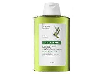 Klorane shampoo trattante e riflessante all'ulivo 200 ml
