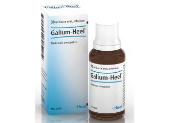 Heel galium gocce 30 ml