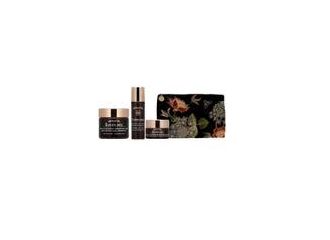 Apivita pro queen bee 22 1 crema 50 ml + 1 siero 15 ml + 1 crema notte 10 ml