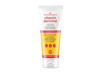 Vitamindermina gel antisfregamento 100 ml