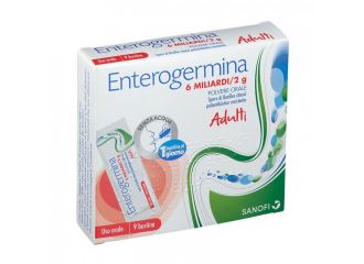 Enterogermina 6 miliardi/2 g polvere orale